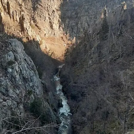 Harz Дом отдыха Альроде