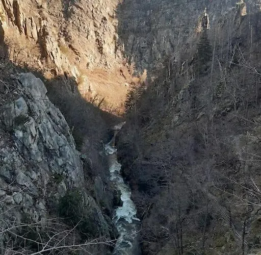 Harz Holiday home Allrode